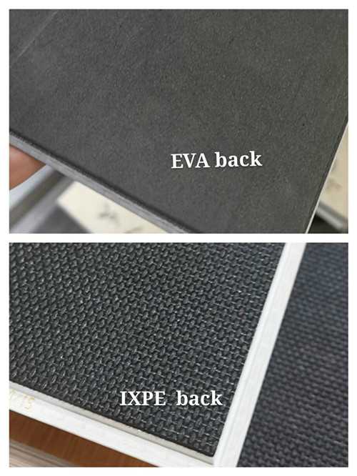 EVA & IXPE back_副本.jpg